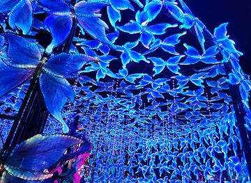 california/stockton/attraction/stockton-lantern-festival