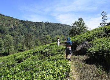 sri-lanka/horton-plains-national-park/attraction/elgin-estate-fall-2