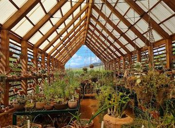 south-africa/cape-town/attraction/babylonstoren-wine-estate