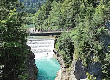 germany/fussen/attraction/auwaldpfad