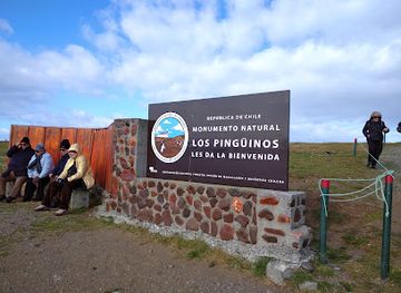 chile/tierra-del-fuego/attraction/magdalena-island