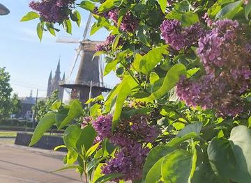 netherlands/delft/attraction/delft-windmill-de-roos