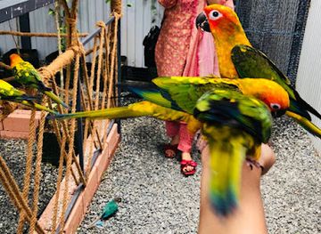 india/kozhikode/attraction/birds-park-calicut