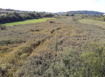 luxembourg/upper-moselle-nature-park/attraction/schlammwiss