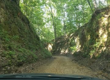 mississippi/natchez-trace-parkway/attraction/a-k-shaifer-house