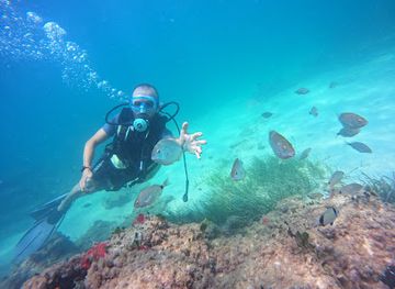 tunisia/djerba-island/attraction/aminos-djerba-sub