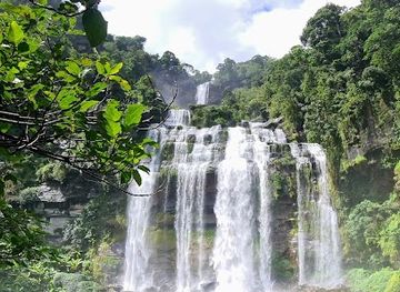 laos/phakse-province/attraction/danyai-bolaven-plateau