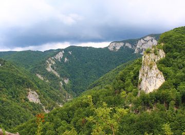 romania/bihor-mountains/attraction/piatra-ciungilor