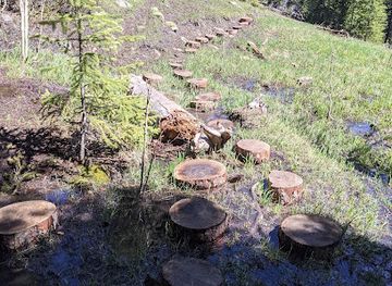wyoming/snowy-range/attraction/little-laramie-trailhead