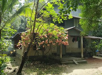 bangladesh/kuakata/attraction/100-years-banyan-tree