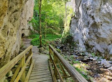 austria/lower-austria/attraction/falkenschlucht