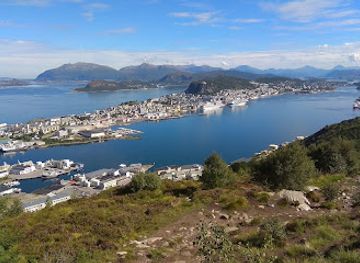 norway/alesund/attraction/realstjerna