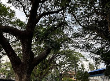 india/kochi/attraction/dronacharya-relaxing-point