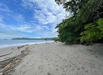 costa-rica/manuel-antonio/attraction/manuel-antonio-bio-adventure