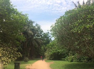 ghana/kumasi/danyame/attraction/knust-botanical-garden