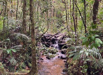malaysia/kinabalu-national-park/attraction/silau-silau-trail
