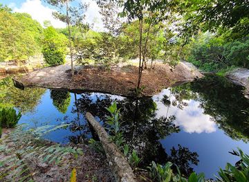 guyana/mazaruni-river/attraction/the-rs-farm-agri-eco-retreat-outdoor-event-space