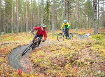 finland/rovaniemi/attraction/roll-outdoors-rovaniemi