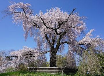japan/osaka/attraction/maruyama-park