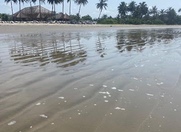 ghana/busua/attraction/kikam-beach