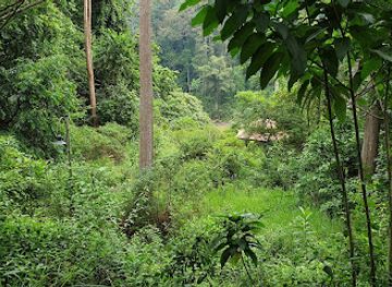 malaysia/taman-negara-national-park/attraction/jeti-sg-tabung