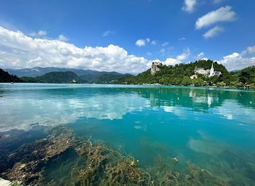 slovenia/triglav-national-park/attraction/jezero-bled