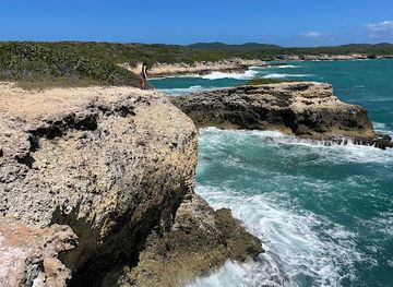 puerto-rico/vieques-island/attraction/spitting-cave