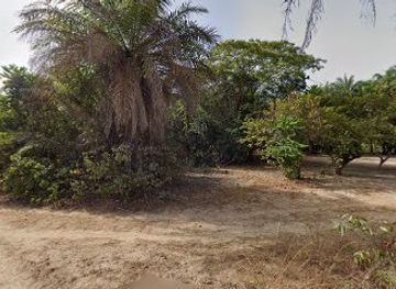 senegal/casamance/attraction/fete-du-canard