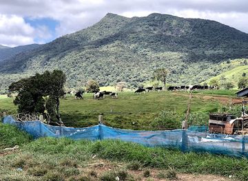 sri-lanka/hill-country/attraction/ambewela-farm