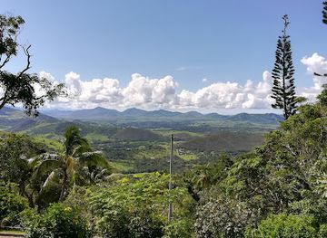 new-caledonia/canala/attraction/parc-provincial-des-grandes-fougeres