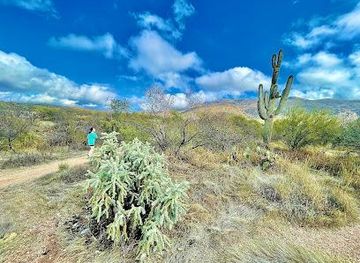 arizona/tucson/attraction/cactus-frst-trl
