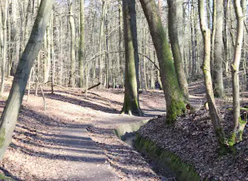 Vuylbeek valley