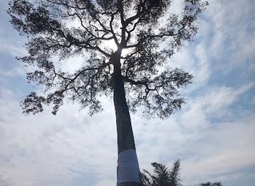 ghana/sekondi-takoradi/attraction/apremdo-community-park