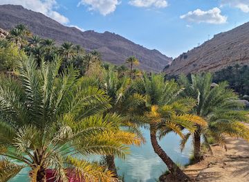 oman/muscat-governorate/attraction/desert-discovery-tours-car-rental-oman