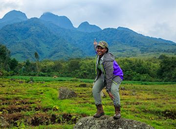 rwanda/karisimbi-volcano/attraction/wood-wildlife-photography