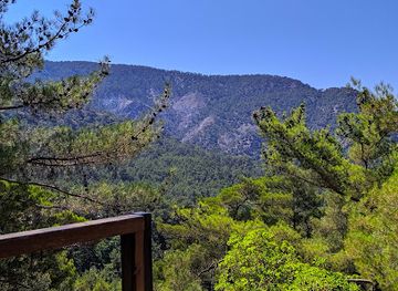 cyprus/troodos-mountains/attraction/platania