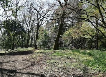 united-kingdom/cardiff/attraction/parc-cefn-onn