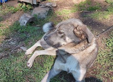 romania/buila-vanturarita-national-park/attraction/cheia