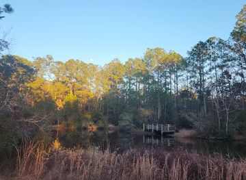 alabama/alabama-coastal-birding-trail/attraction/city-of-gulf-shores-wetlands-park