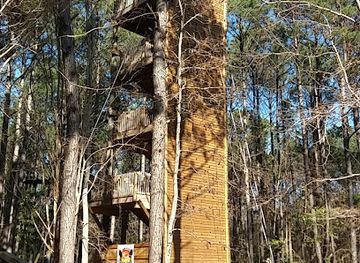 south-carolina/francis-marion-national-forest/attraction/charleston-adventure-forest