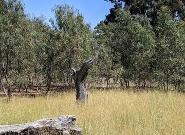 australia/melbourne/attraction/woodlands-historic-park