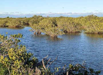 florida/cape-canaveral/attraction/merritt-island-national-wildlife-refuge-visitor-center