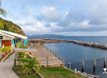 saint-kitts-and-nevis/sandy-point-town/attraction/dive-st-kitts