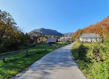 slovenia/bohinj/attraction/zoisova-grascina