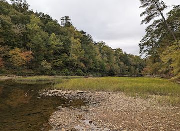 alabama/cahaba-river/attraction/cahaba-river-unidentified-park-creek