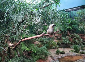 washington/seattle/attraction/woodland-park-zoo