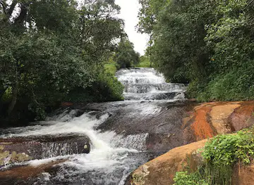 Williams Falls