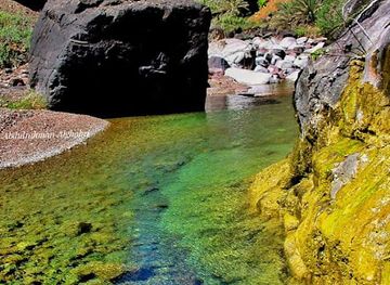 yemen/socotra-island/attraction/socotra-island-republic-of-yemen