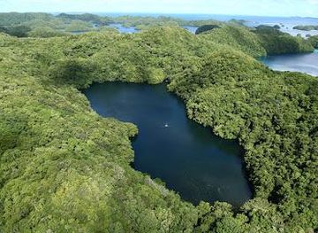 micronesia/koror/attraction/jellyfish-lake