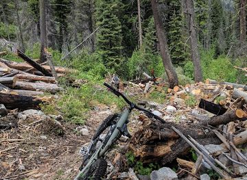 montana/bitterroot-national-forest/attraction/warms-springs-creek-trail